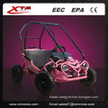 Wholesale Chinese Kids Rental Pink Gearbox Mini Moto Go Kart